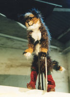 Gestiefelter Kater